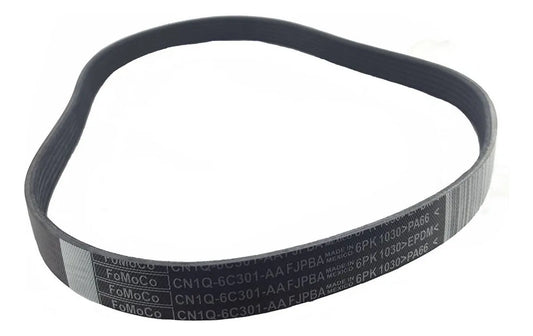 Correa de Alternador Motorcraft JK6412A