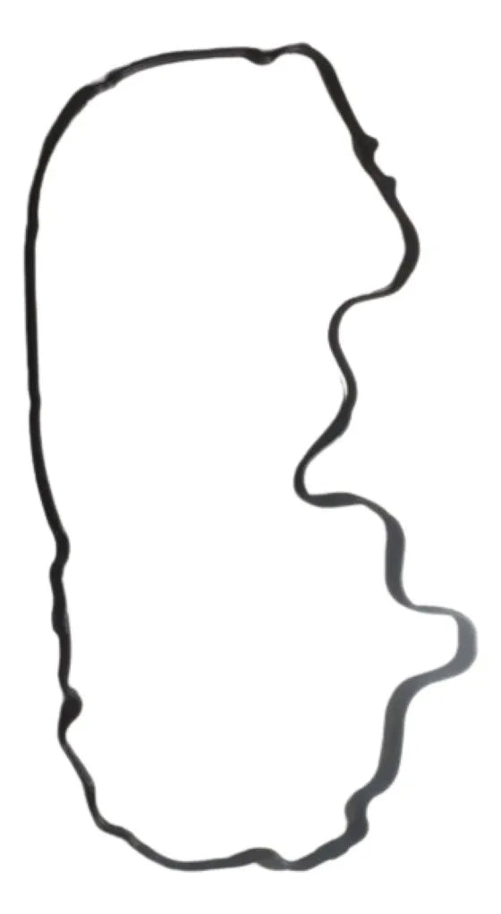 Empacadura Tapa Valvula Motorcraft 3L3Z-6584-EA