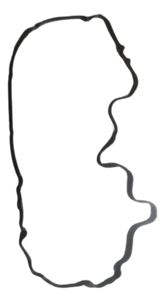 Empacadura Tapa Valvula Motorcraft 3L3Z-6584-EA