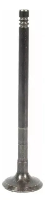 VALVULA DE ESCAPE Motorcraft 1S6Z-6505-A