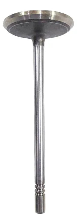 VALVULA ADMISION Motorcraft XL3Z-6507-AA