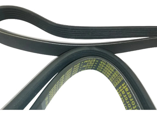 Correa Unica de Motor Motorcraft JK61031A